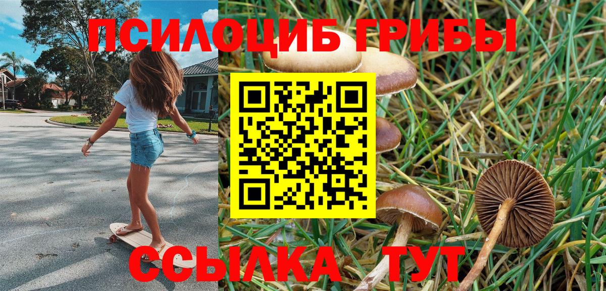 Галлюциногенные грибы Magic Shrooms  Вход с VPN  Галлюциногенные грибы Cubensis  Кузнецк 